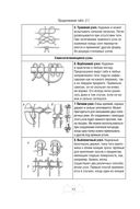 Автономное выживание и медицина в экстремальных условиях — фото, картинка — 52