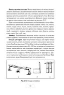 Автономное выживание и медицина в экстремальных условиях — фото, картинка — 59