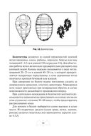 Автономное выживание и медицина в экстремальных условиях — фото, картинка — 99