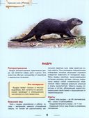 Энциклопедия. Красная книга России — фото, картинка — 2