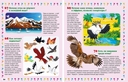 Животные. 130 правильных ответов на 130 детских вопросов — фото, картинка — 4