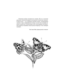 Бабочки и другие насекомые. Атлас-раскраска — фото, картинка — 5