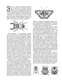 Бабочки и другие насекомые. Атлас-раскраска — фото, картинка — 7