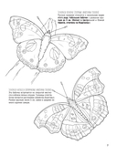 Бабочки и другие насекомые. Атлас-раскраска — фото, картинка — 10