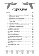 Проклятие крокодила — фото, картинка — 1