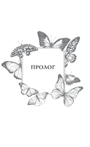 Синие бабочки — фото, картинка — 17