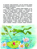 Царевна-лягушка — фото, картинка — 9