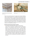 Анатомия ремонта — фото, картинка — 12