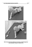 Сидеть, ползать, ходить. Как помочь ребенку сделать первый шаг? Эволюция движения от 0 до года — фото, картинка — 15