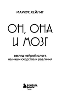 Он, она и мозг. Взгляд нейробиолога на наши сходства и различия — фото, картинка — 2