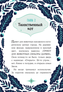 Кот по кличке Тринадцатый — фото, картинка — 14