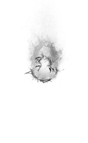 Преврати меня в пепел — фото, картинка — 1