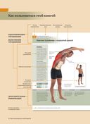 Анатомия растяжки и 100 базовых упражнений — фото, картинка — 3