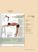 Анатомия растяжки и 100 базовых упражнений — фото, картинка — 4