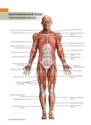 Анатомия растяжки и 100 базовых упражнений — фото, картинка — 5