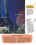 Подводный мир — фото, картинка — 12