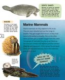 Подводный мир — фото, картинка — 17