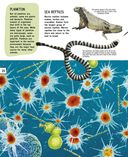 Подводный мир — фото, картинка — 19