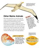 Подводный мир — фото, картинка — 20