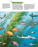 Подводный мир — фото, картинка — 21