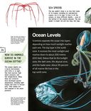 Подводный мир — фото, картинка — 23