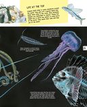 Подводный мир — фото, картинка — 24