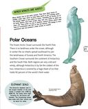 Подводный мир — фото, картинка — 26