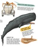 Подводный мир — фото, картинка — 29