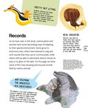 Подводный мир — фото, картинка — 30