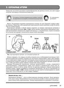 Занимательная физиология — фото, картинка — 31