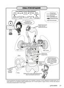 Занимательная физиология — фото, картинка — 33