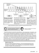 Занимательная физиология — фото, картинка — 35