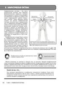 Занимательная физиология — фото, картинка — 36