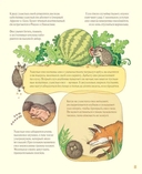 Удивительные уши. Собрание причудливых животных — фото, картинка — 6