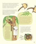 Удивительные уши. Собрание причудливых животных — фото, картинка — 10