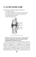 Упражнения для суставов. Как избавиться от боли, сохранить подвижность, предотвратить переломы — фото, картинка — 16