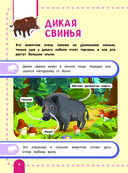 Главная энциклопедия ребёнка о животных — фото, картинка — 5