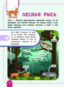 Главная энциклопедия ребёнка о животных — фото, картинка — 9