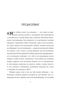 Не тяни! Как научить собаку гулять на провисшем поводке — фото, картинка — 7