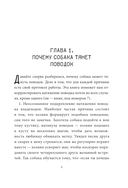 Не тяни! Как научить собаку гулять на провисшем поводке — фото, картинка — 9