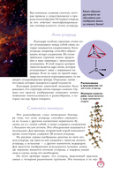 Духи. Основы парфюмерии — фото, картинка — 6