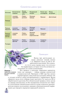 Духи. Основы парфюмерии — фото, картинка — 8