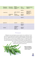 Духи. Основы парфюмерии — фото, картинка — 9