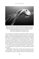 Осьминоги, каракатицы, адские вампиры: 500 миллионов лет истории головоногих моллюсков — фото, картинка — 10