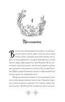 Беатрис Блум и Звездный кристалл — фото, картинка — 6