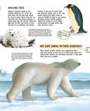 Детёныши животных — фото, картинка — 17