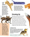 Детёныши животных — фото, картинка — 18