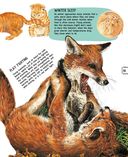 Детёныши животных — фото, картинка — 19