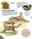 Детёныши животных — фото, картинка — 21