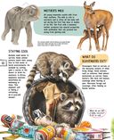 Детёныши животных — фото, картинка — 22